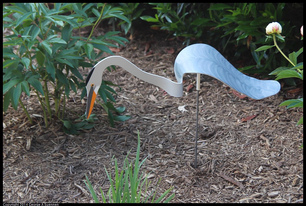 0524-135909-01.jpg - Sculpture